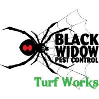 Black Widow Pest Control image 1